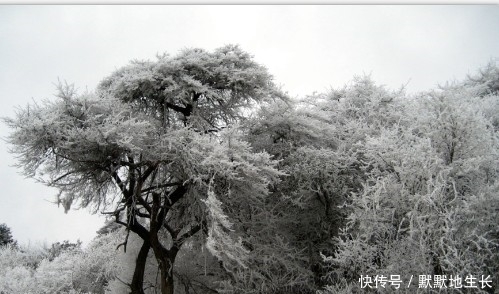 阴阳界：自驾游者的天堂和地狱