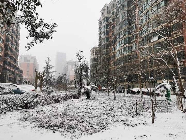 雪花|2022年，济南的第二场雪