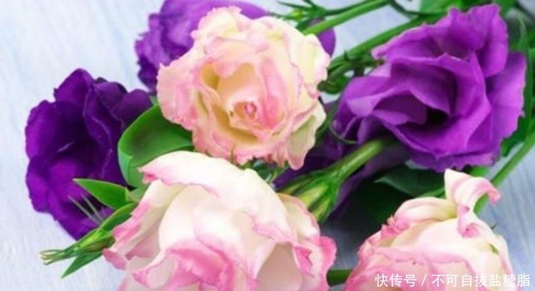 4种花，堪称花界“劳模”，几个月不浇水，照样长得旺！