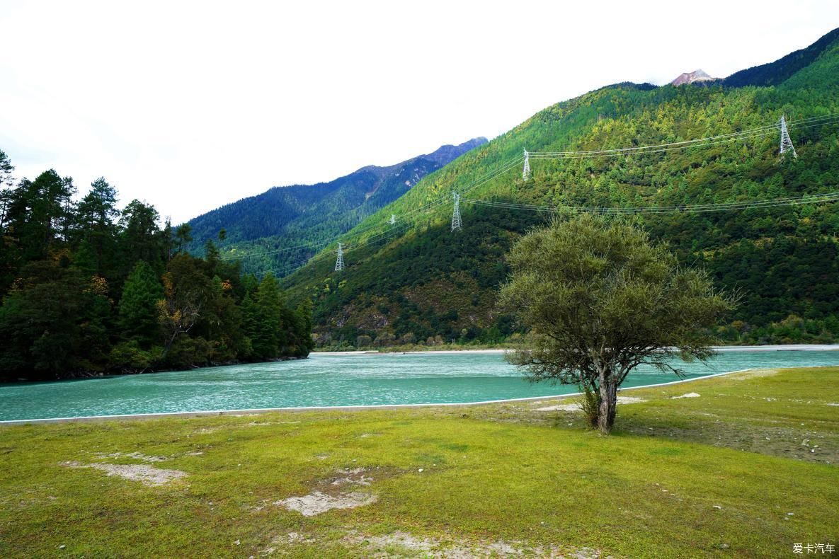 独自自驾游 欣赏最美的岗云杉林 体验环藏之旅的慢生活