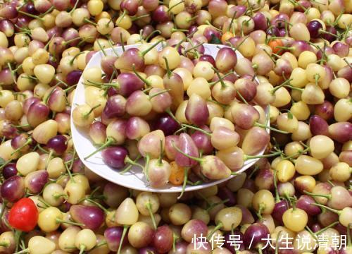 女性|女性不想老得快,常吃此菜,雀斑没了,大肚子平了,越来越年轻