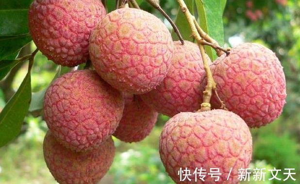 荔枝|糖尿病患者不可吃甜食提醒糖尿病人真正不能碰的是此3种食物