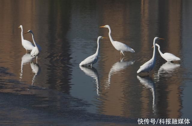 山丘|太原:汾河开河