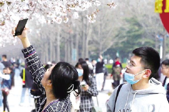 老年|走！赏樱花去