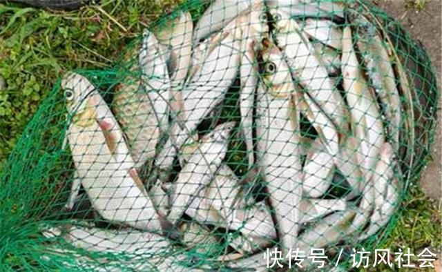 饵料|钓大鱼，铅坠下移钓跑铅，拉小鱼，铅坠上移钓飞铅，动铅坠好处多