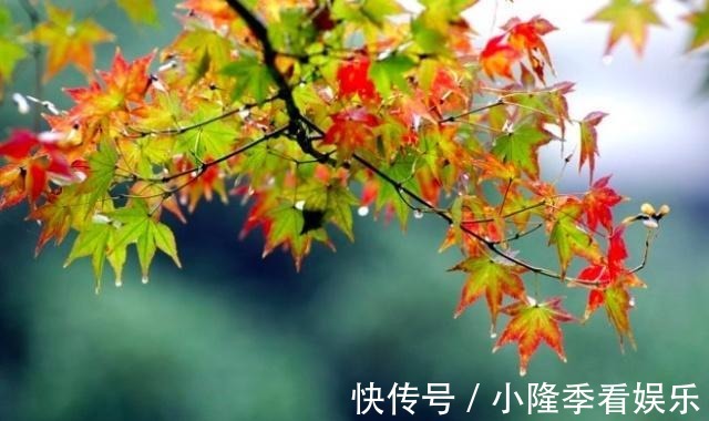 人生路|《列子》十则经典格言,言简意深,遥指人生路!