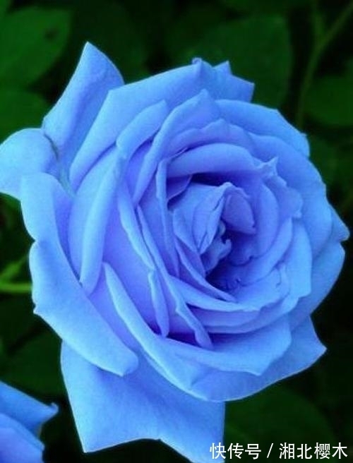 睡眠质量|11月,桃花祝福,误会解除,旧爱一如既往,真情未变的四大星座