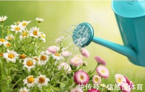 早上和晚上“浇花”大有区别,很多人都浇错了,难怪花草长不好