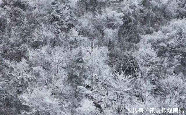 重庆周末去赏雪：新一轮降温后，雪漫人间！这些地方都可以赏雪