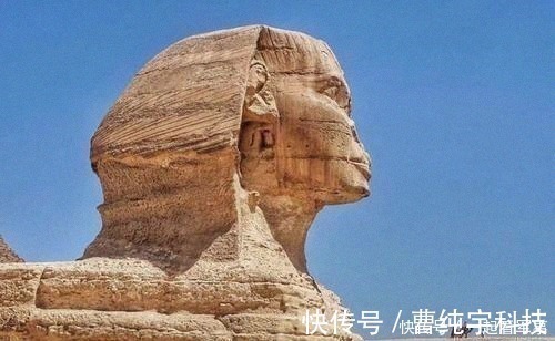 动物园|那些听起来很疯狂,但却在历史上真实发生过的3个罕见事情