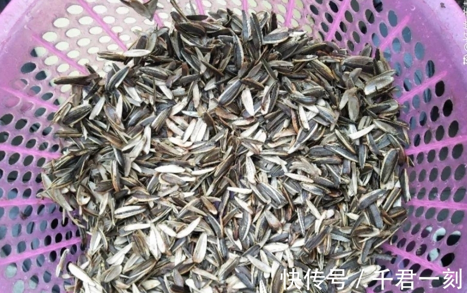 家庭|家庭养花,在盆底垫上这4种小东西,盆土透气又透水!