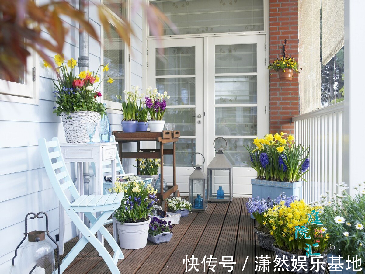 8种“漂亮花”,都可以扦插,剪个枝条就成活,省下很多钱