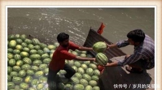 全部|男子将西瓜全部都放在水里,路人都笑他傻,知道原因之后大家纷纷点赞