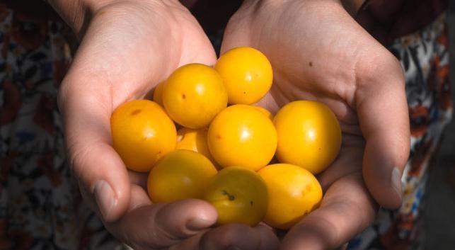 肝脏疾病|肝硬化、肝癌患者如何注意饮食？医生：做到这3点，肝病不敢登门