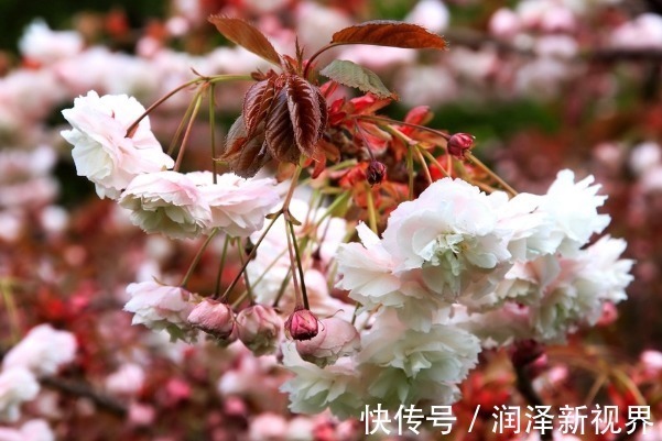 出生月份|孩子的人生和出生月份有关,以下3个月份出生智商高,福气更好!