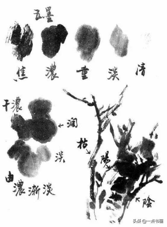 浓淡#国画用墨技法，你用对了吗？