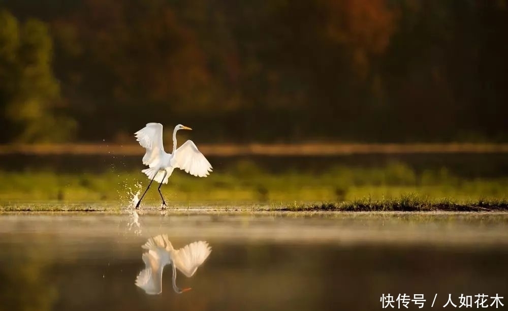  万物|立春丨听一曲古琴演奏《春风》万物知春，和风淡荡