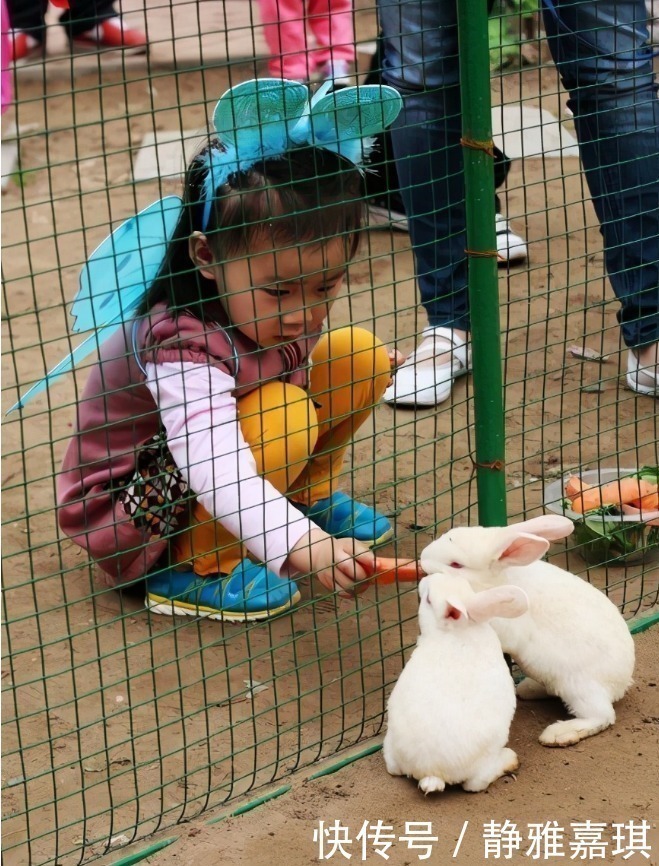 眼光长远|哈佛校长直言:父母多带孩子去这5个地方,对孩子的未来大有好处