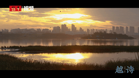 小浦|【越诗】横林待鹤归