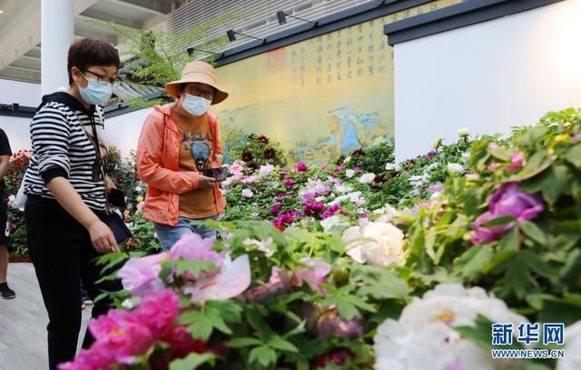 开园首日，2万余名游客赶赴这个“美丽约会”