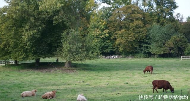 剑桥|徐志摩《再别康桥》中的康桥是个什么样美如童话,还出天才