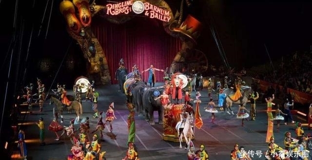 马戏团|泰国连体兄弟,在美国马戏团打拼10年,迎娶两姐妹,生了21个孩子