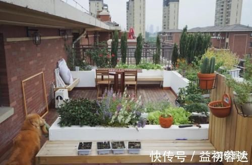 有钱人|为什么有钱人住顶楼不怕冬冷夏热?他们都这样做,不得不感叹聪明
