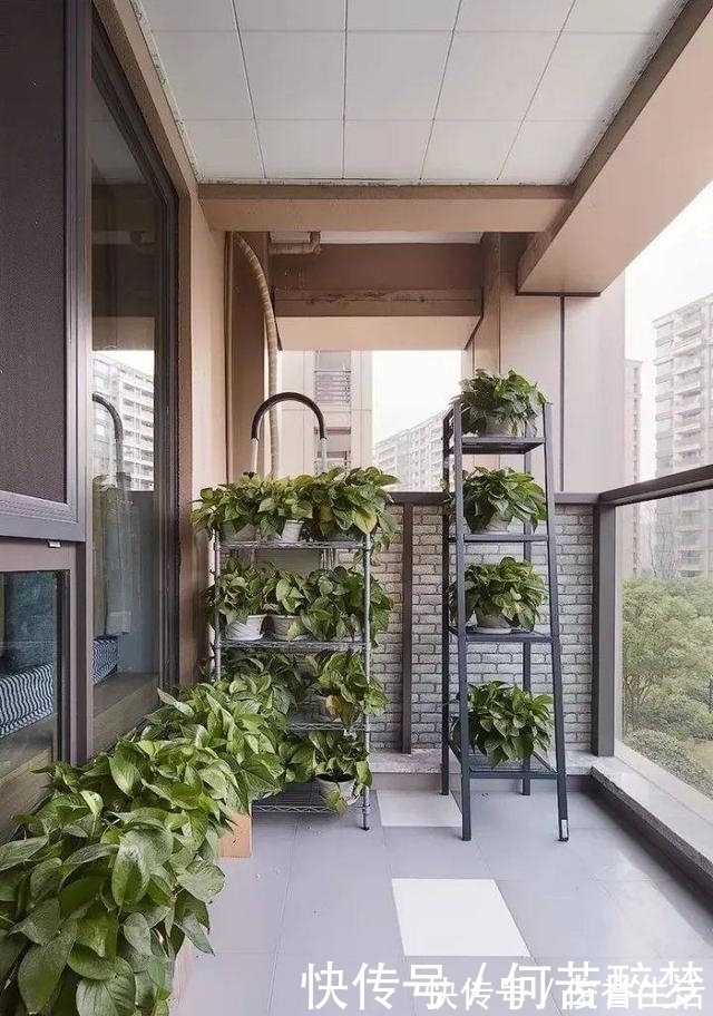 草地|原来阳台还能这样铺砖,太漂亮了,一看就喜欢