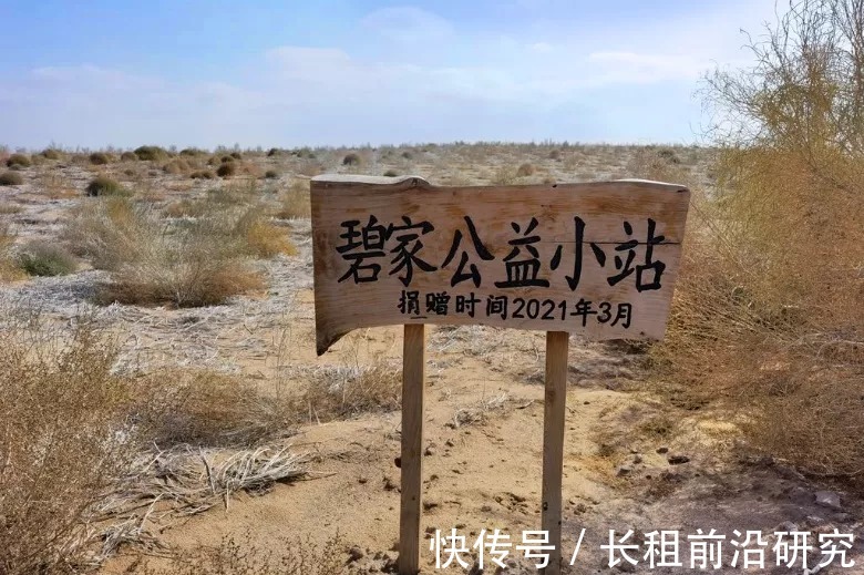 森林公寓|Z世代新人居,碧桂园"第二个家"亮了