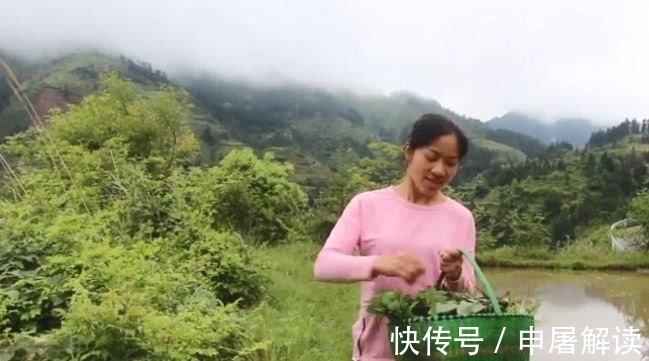 鸭脚板|女子在野外捡回一种野菜，看着像是“野生鸭掌”，和火锅一起绝配