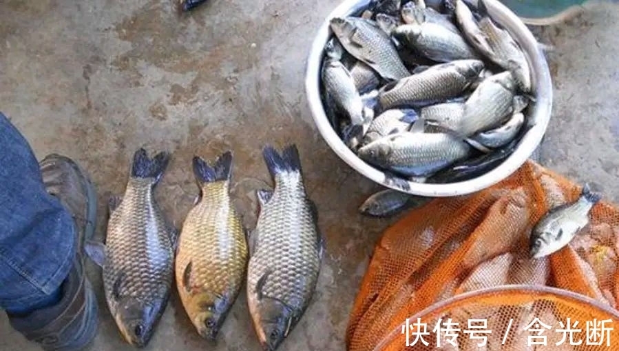 冬钓|冬钓!真不是穷人能玩的,“穷人”去黑坑也钓不到鱼