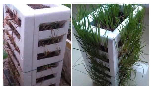 实用|才知道泡沫箱居然还能这么用,再也不扔了,实用妙招,错过可惜