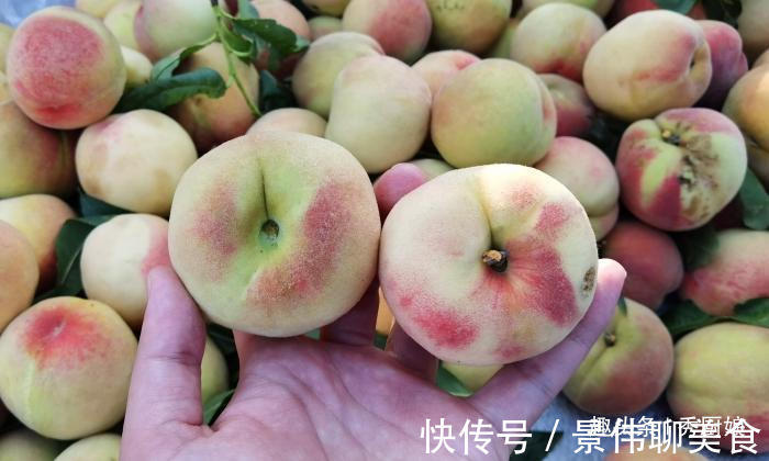 桃子|买桃子时,就挑“公”的,肉多核小汁水多,教你6招,一挑一个准