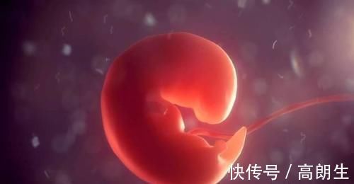 流产|怀孕1~10个月,胎儿发育变化全过程!想“修炼成人”还得过四关
