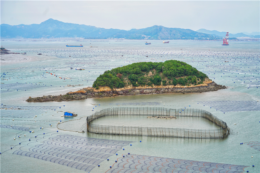 古猿人|福建有个很美的海岛，被称为东方威尼斯，石头奇观很神秘，很少游客来