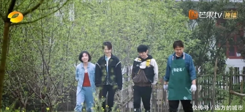 带动|杨紫上《向往的生活》送温暖,凭一己之力带动了各路热搜