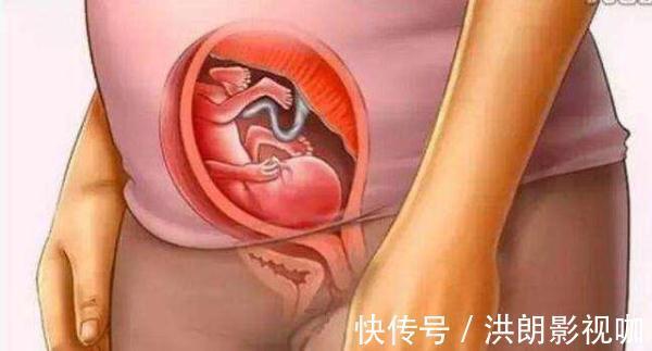 过程|怀胎十月到底是什么样的,十张图带你看孕育过程,生而为人须了解