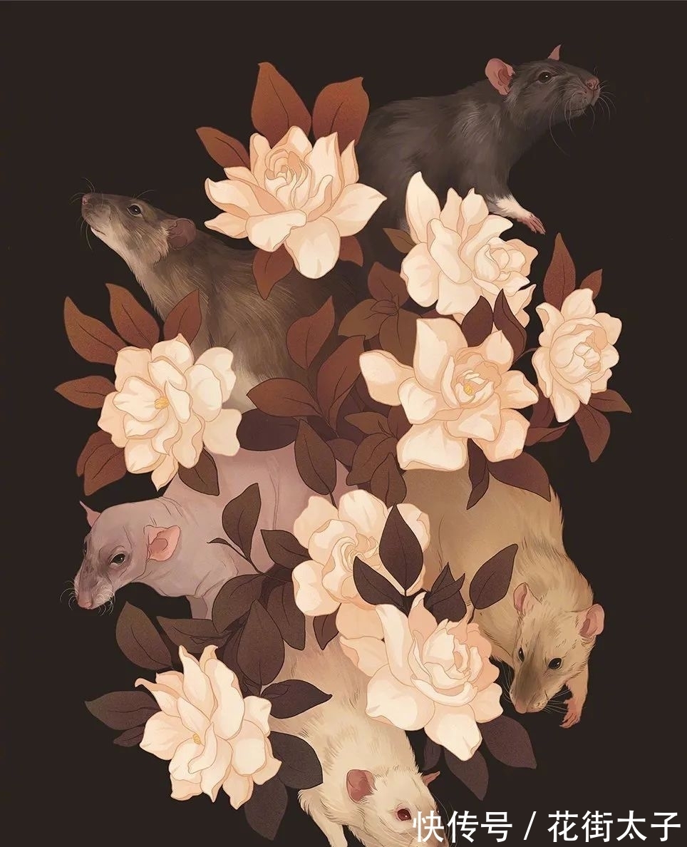 荒野$艺术守护荒野|万物生灵的和谐之美