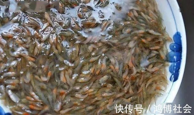 韭菜炒小虾,有红有绿,不错的下酒下饭菜!