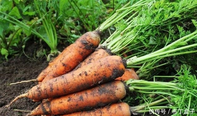 旺盛|肝火旺盛睡不好?多吃3种食物,降肝火、排肝毒,远离肝病缠身
