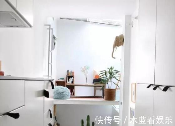 墙面|20㎡超小迷你房，日常生活功能区齐全，大胆又精致的设计