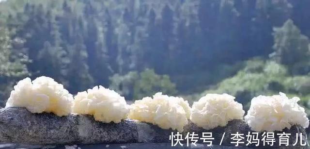 补脑|中老年保健养生食谱,滋阴补肾益智补脑,吃美食身体强