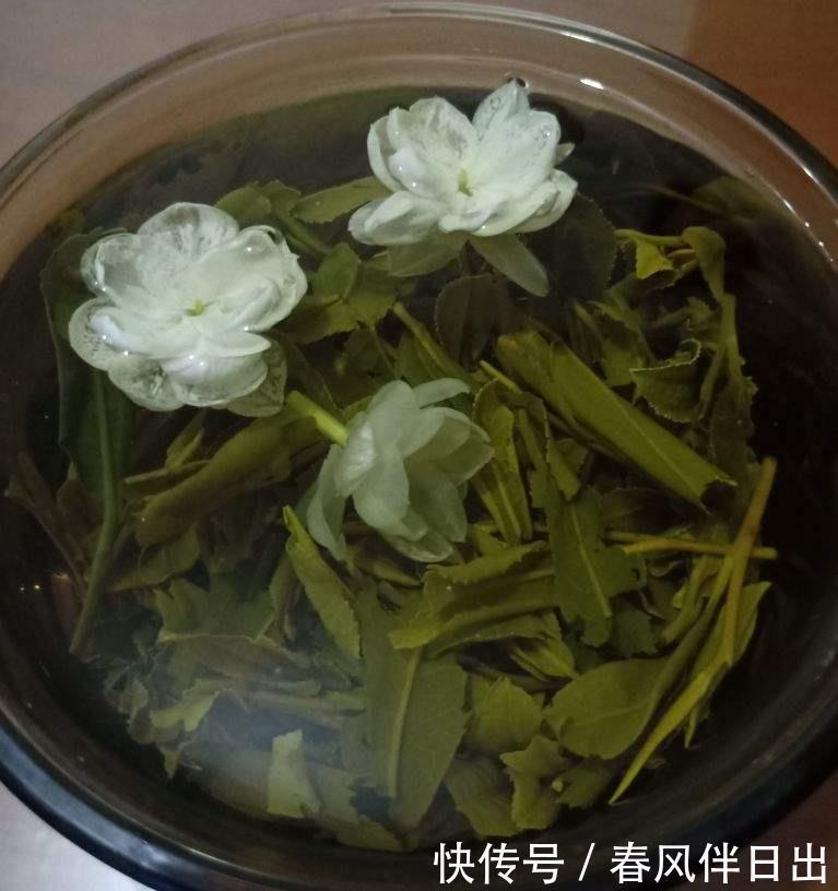 喝剩的茶叶捂一捂，掺到土里肥效足，花儿长得旺