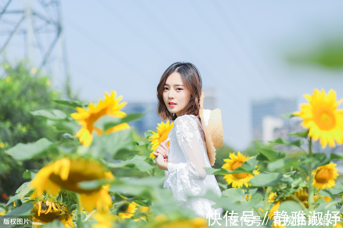 君子兰|爱吃醋的5种花，兑水喷一喷，叶子变得绿油亮，开花大又多
