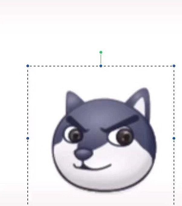 表情|当表情包遇上“p图大神”,本以为是开玩笑,看到最后狗头变美人