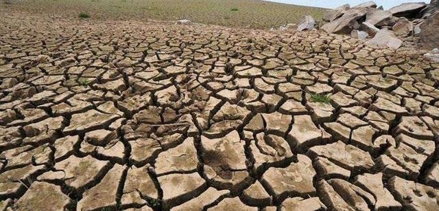 蝗灾|中国古代蝗灾频发,近代却销声匿迹,是谁用了什么奇招