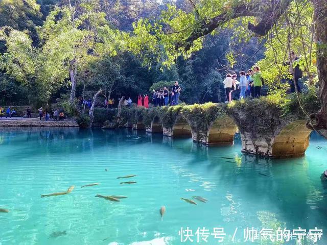 秋韵#【七绝·秋韵】清风伴我不孤行,晨起轩窗有鸟鸣