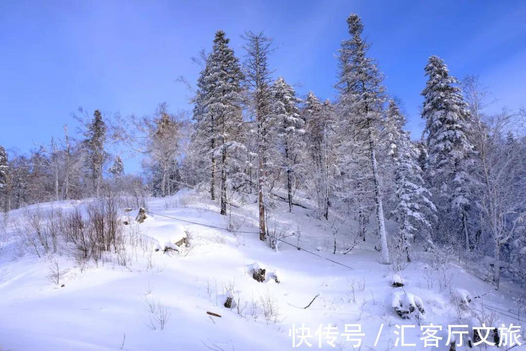 极北之地|首金冠军的家乡,极北之地,这个又美又刚的地方值得上一次热搜!