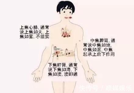人体|搞懂了人体“三焦”,所有疑难杂症,都迎刃而解