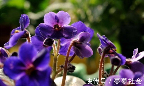 祛斑|人到中年想长寿 ,推荐吃3种食物,美白祛斑,降压减脂、增强体质